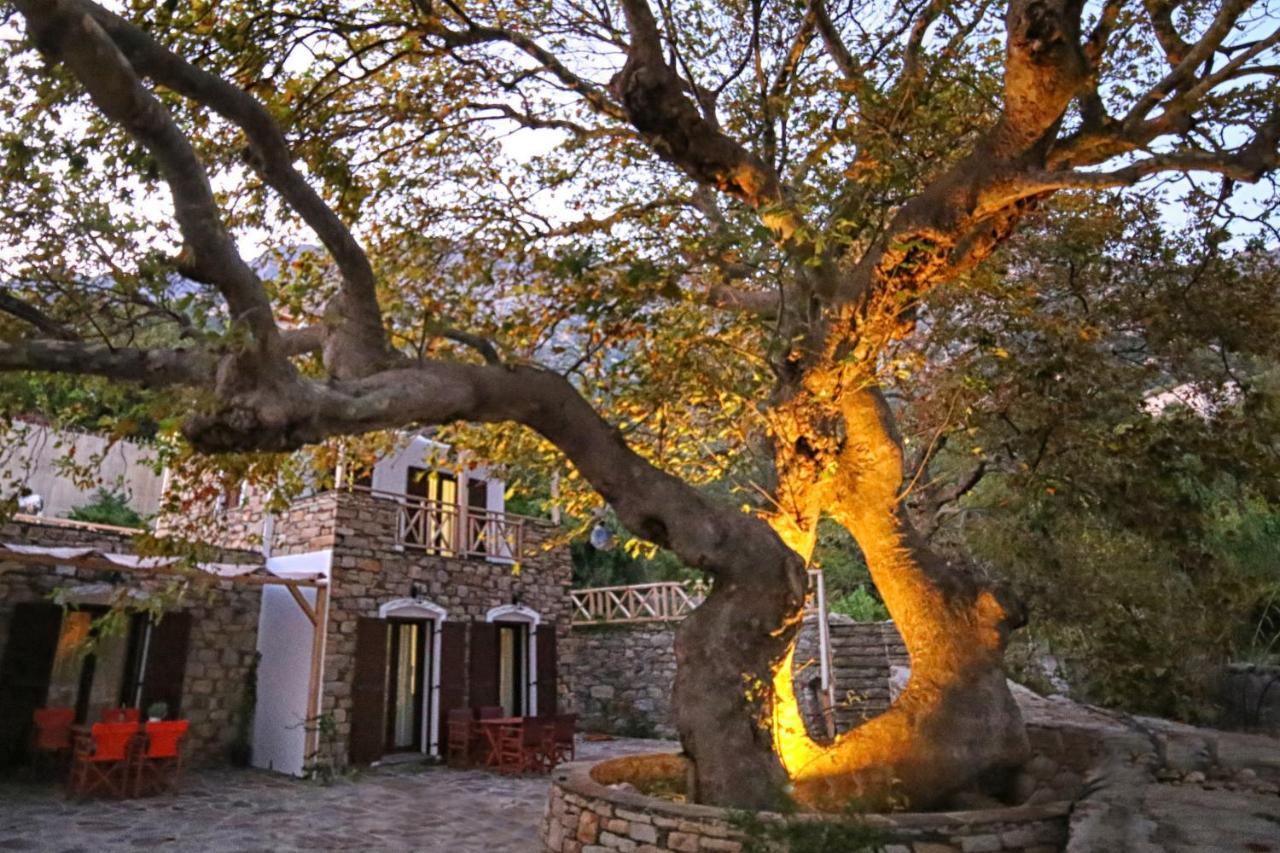 Villa Ικαριων Γη Manganítis Exterior foto