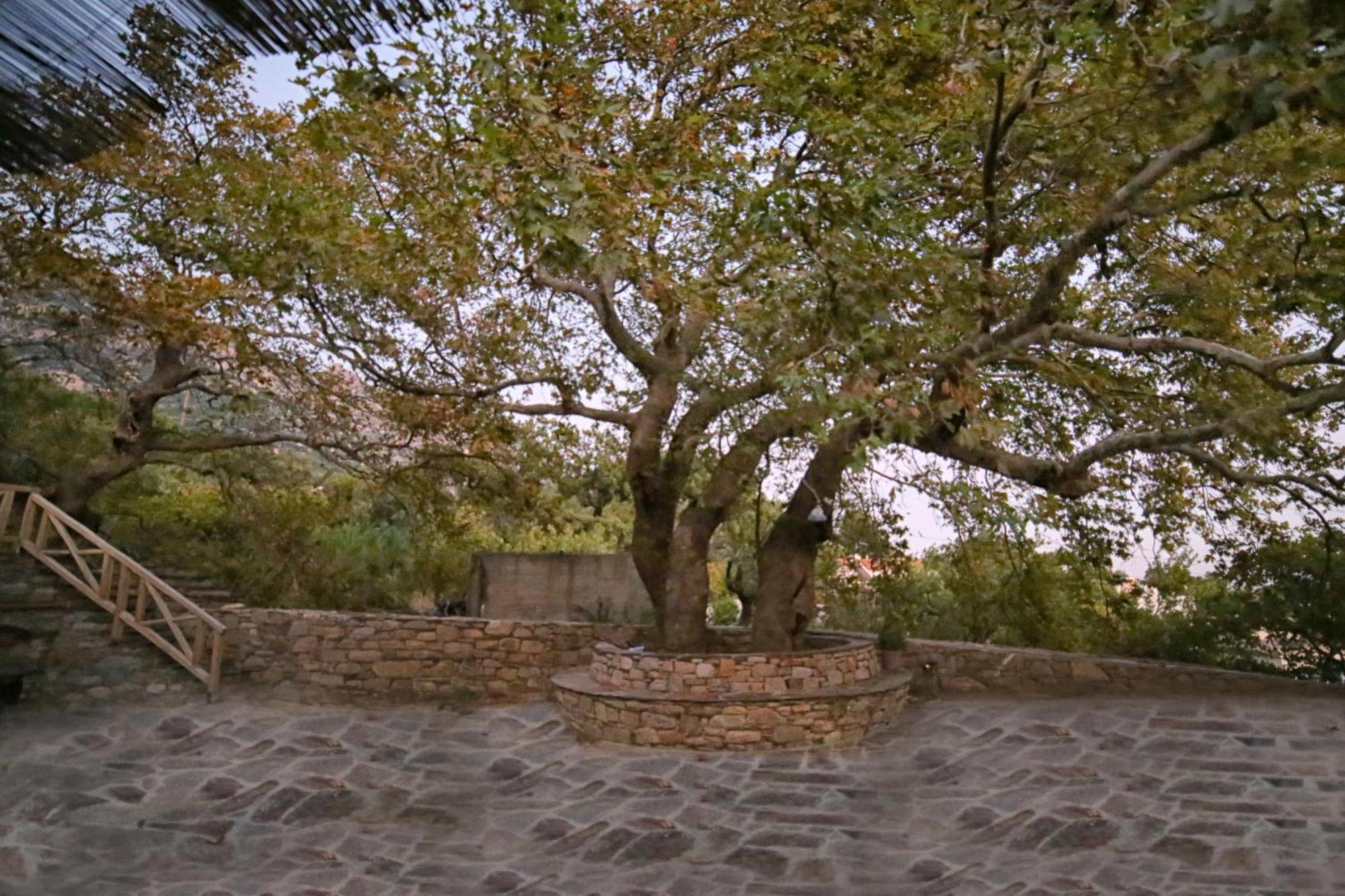 Villa Ικαριων Γη Manganítis Exterior foto